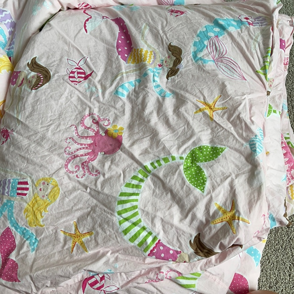 Pottery Barn Duvet Set